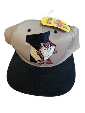 Looney Tunes Taz Tasmanian Devil Deadstock Snapback Hat